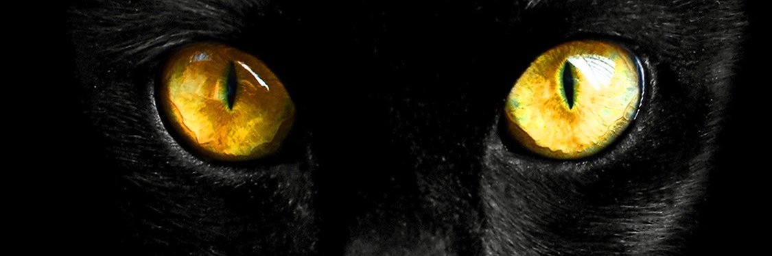 IssaShaltaf's profile banner image
