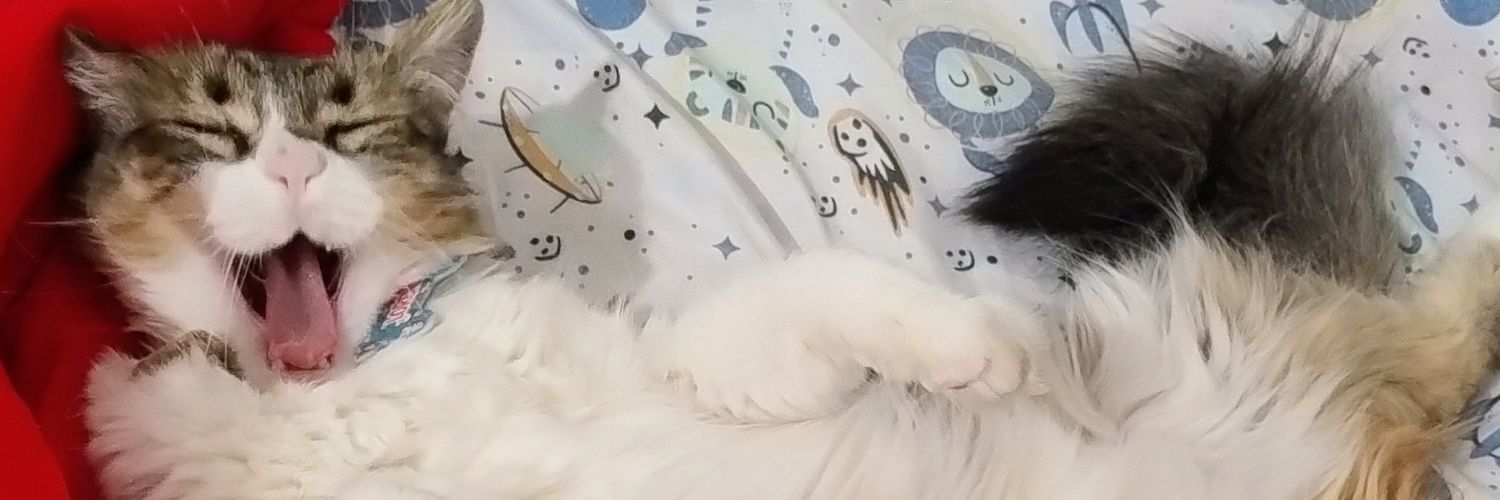 FloriPala's profile banner image