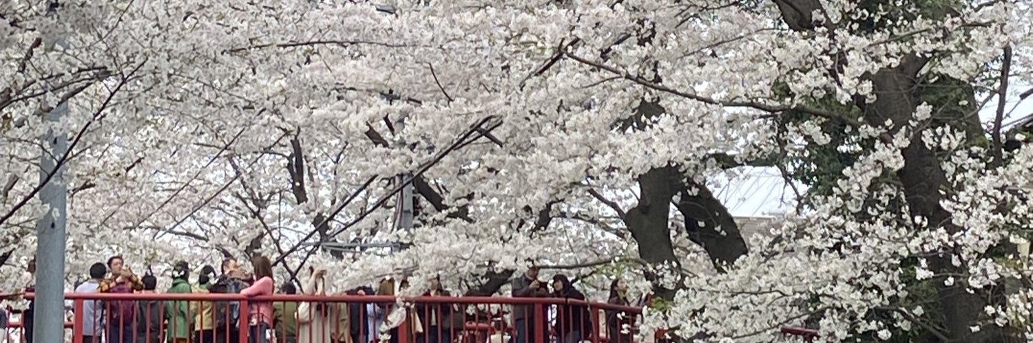 suwaro77's profile banner image