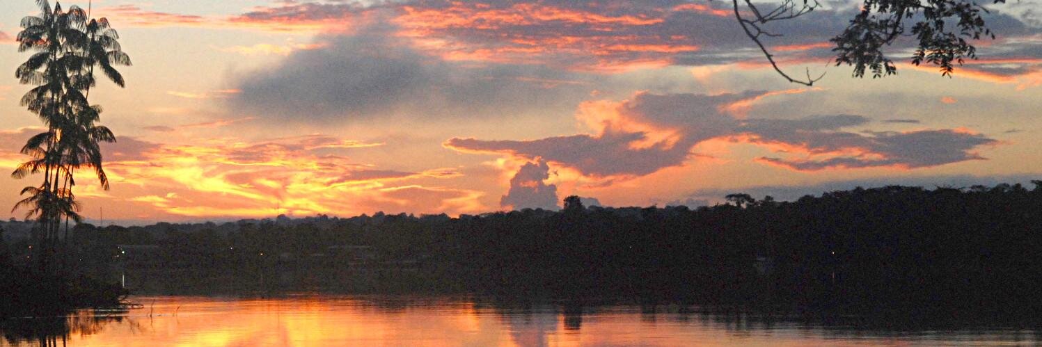 François Approuague banner