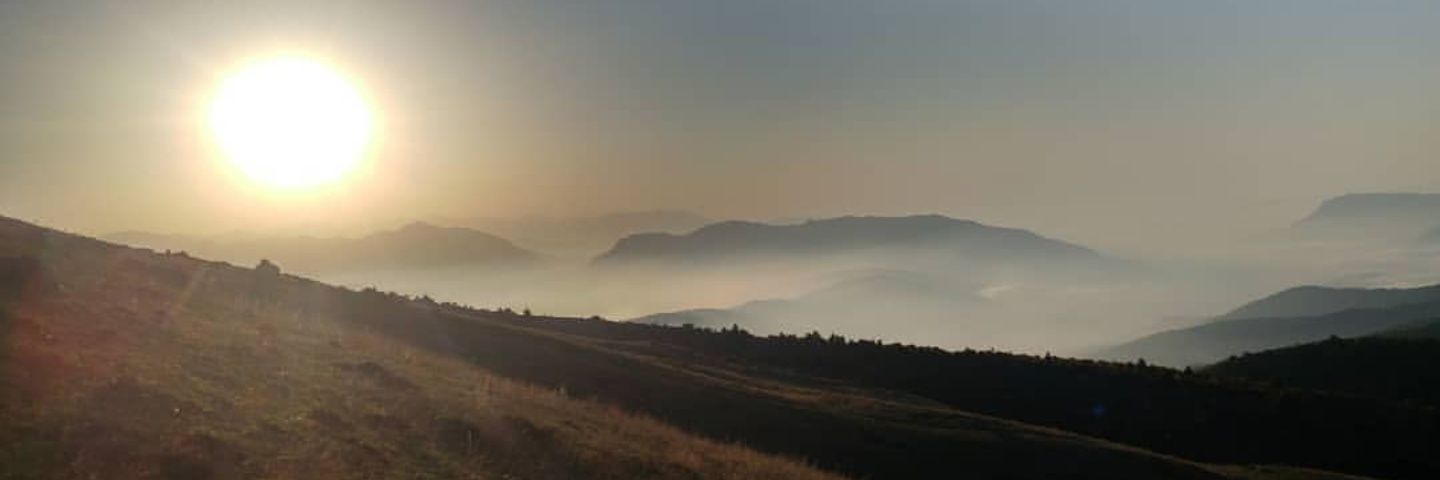 طائر banner