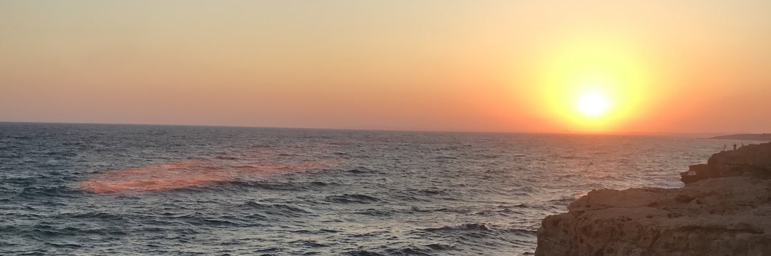 amykb_'s profile banner image