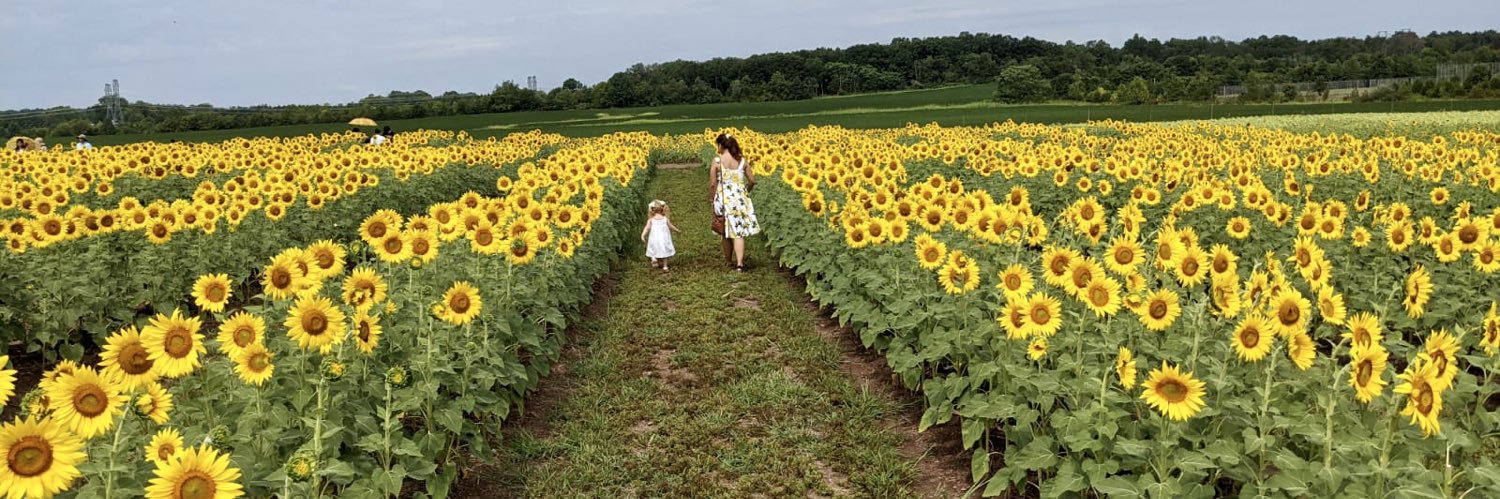 PattyGDS's profile banner image