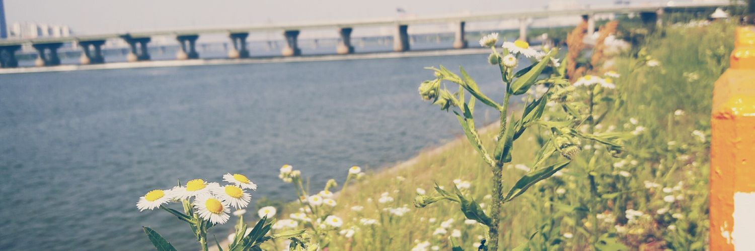 Jinkyoung_2's profile banner image