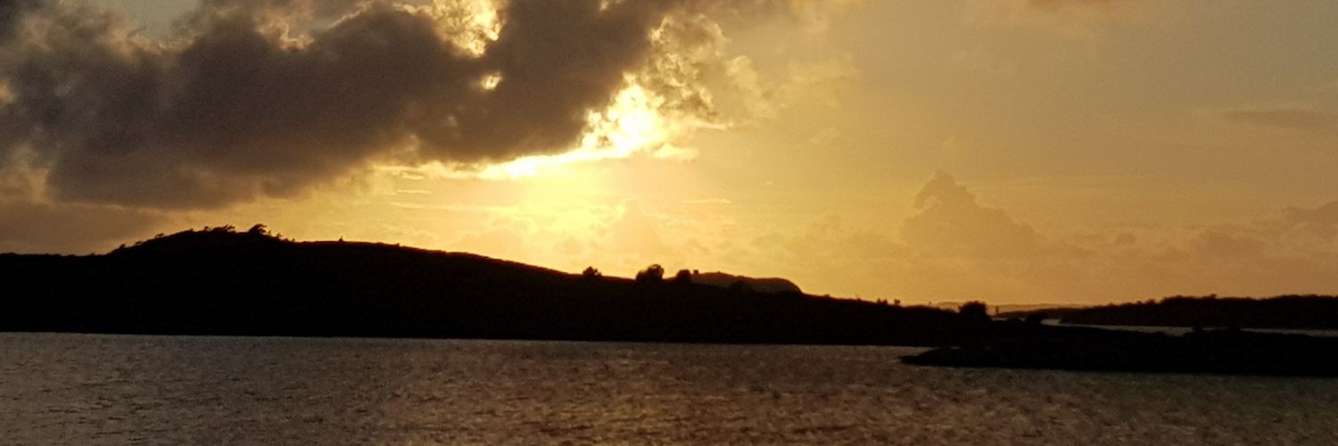 OyvindWib's profile banner image