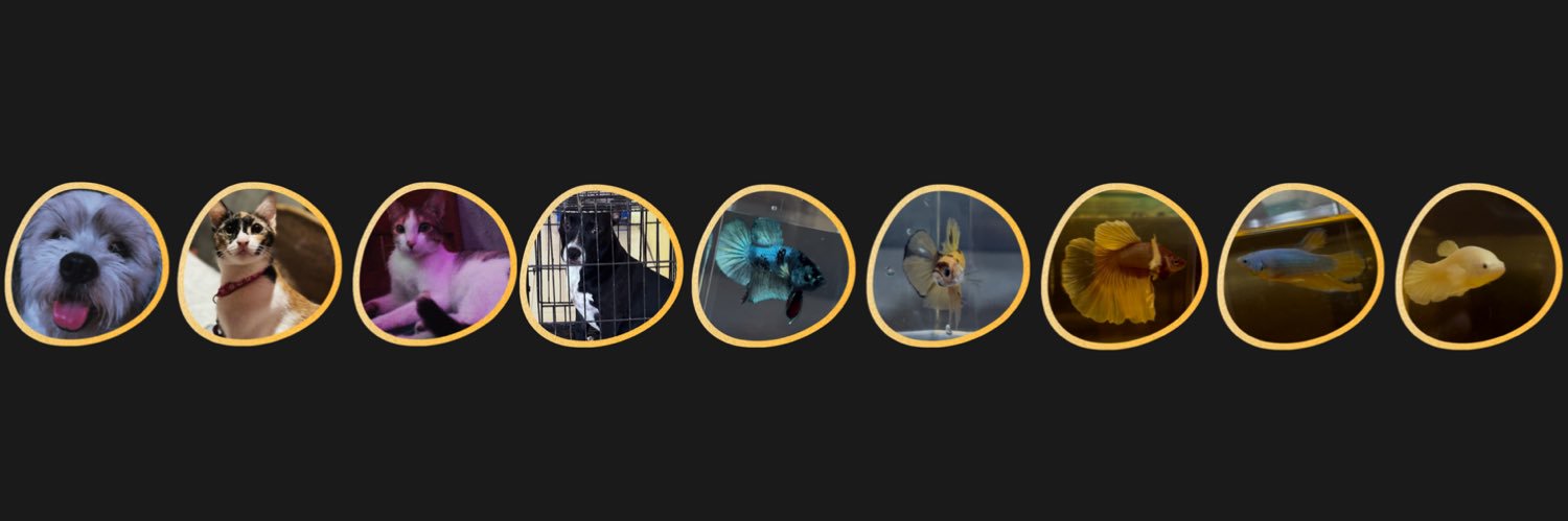 Jamcjvr_'s profile banner image
