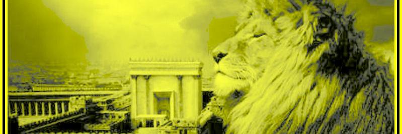 lehaaba's profile banner image