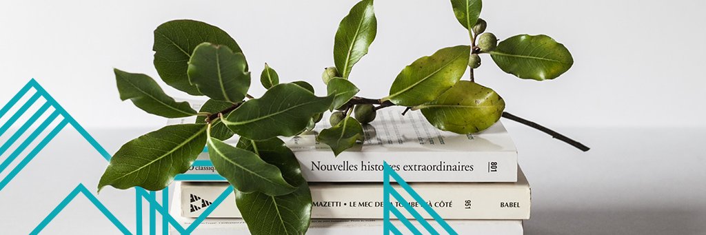 DotWiki Domains banner