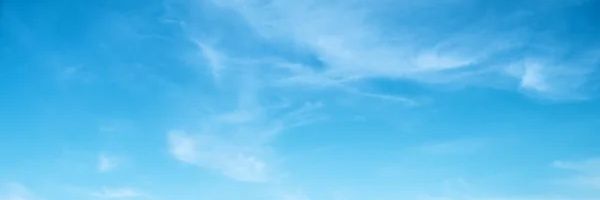 katintuynui's profile banner image