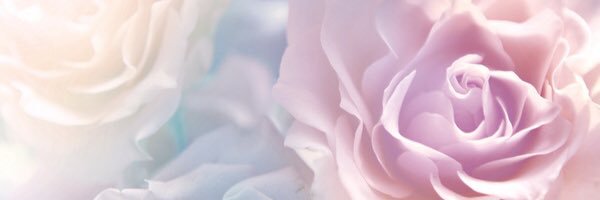 hannahlenneyxo's profile banner image