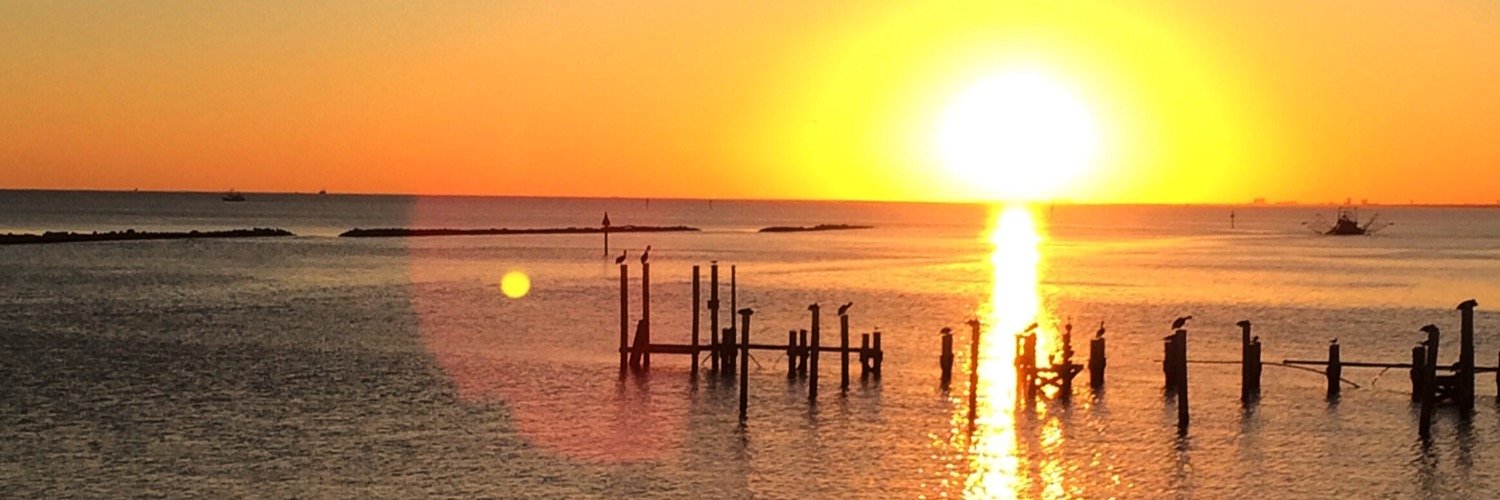 AlisonS436's profile banner image