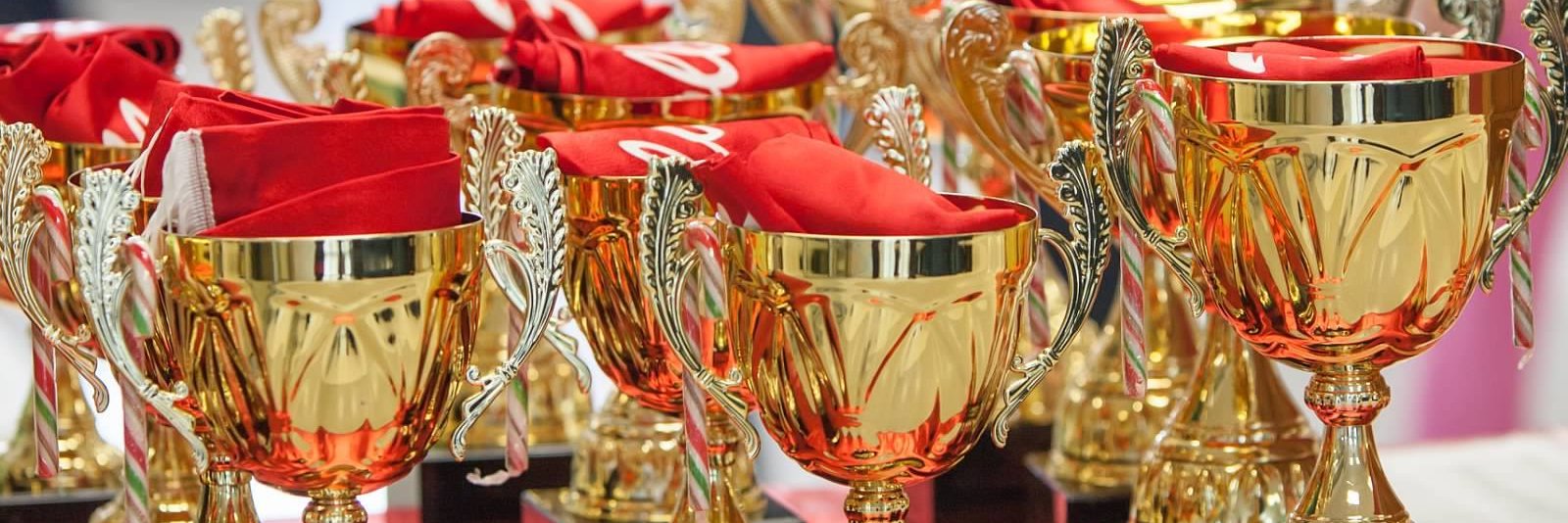 SFH Irish Dance banner