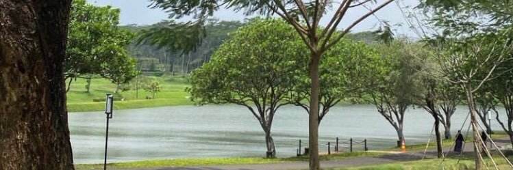 naunau🧚🏻‍♀️🦋 banner