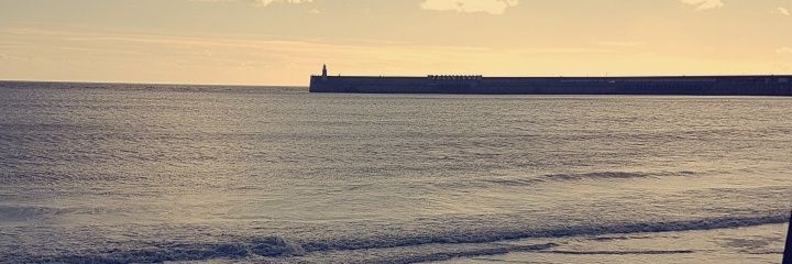 Eve_Neilly's profile banner image