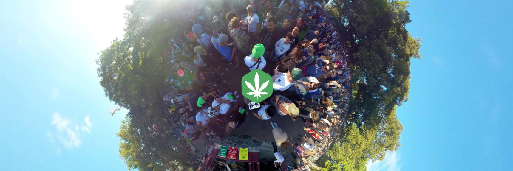 nzweed's profile banner image
