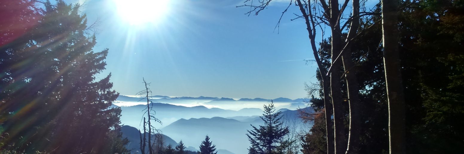 aventurenature's profile banner image