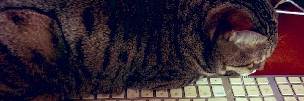 aya_vln's profile banner image
