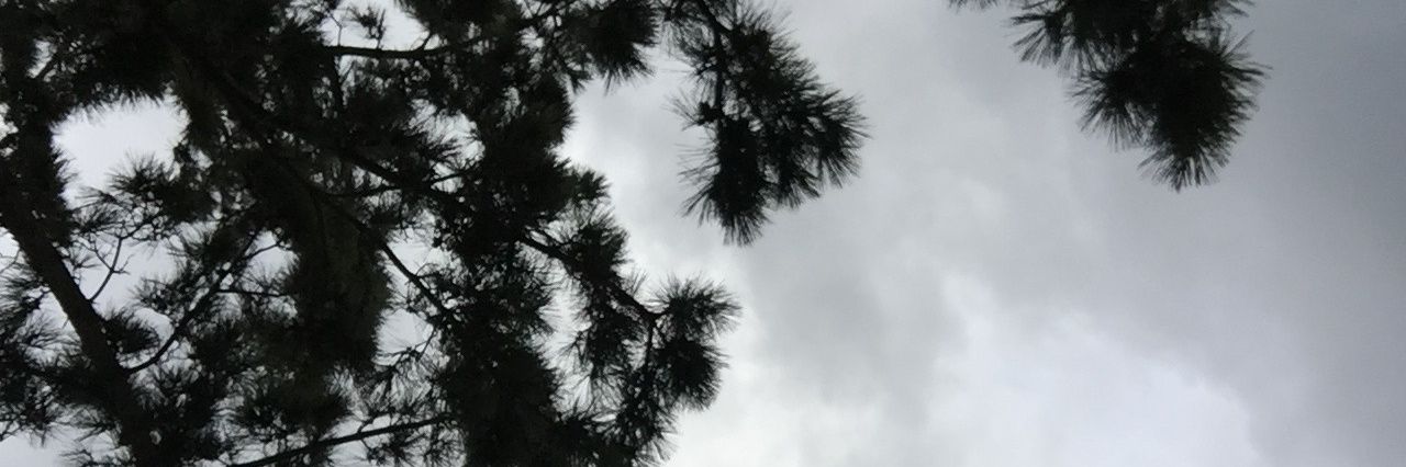 cryssootal's profile banner image