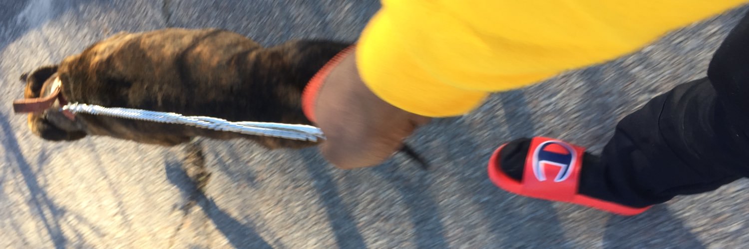 trapwitkane's profile banner image