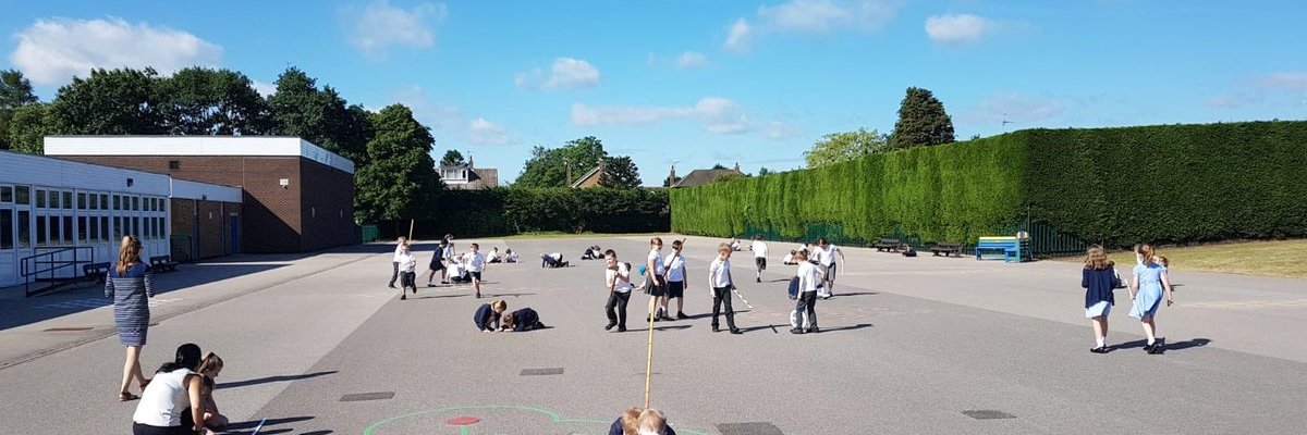 Hatchell Wood banner