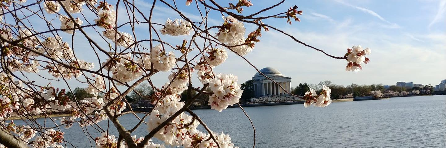 Mellissa Braham, APR, CAE, MSC banner
