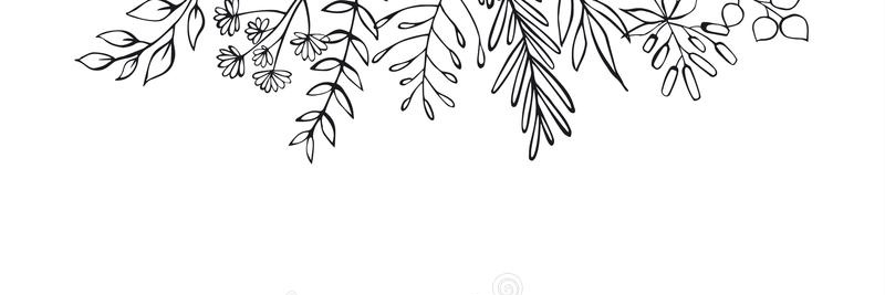 AvilaFDK106's profile banner image