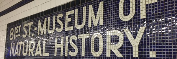 JennaKimlinger Profile Banner