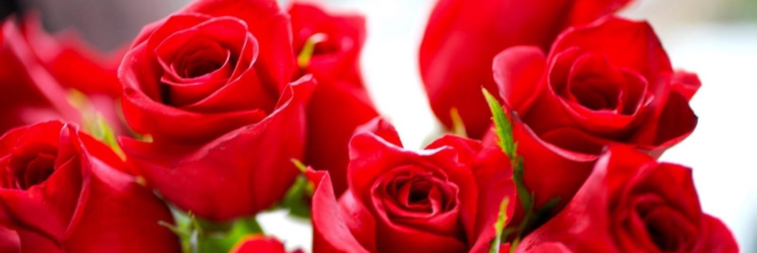 Psoe Villafranca banner