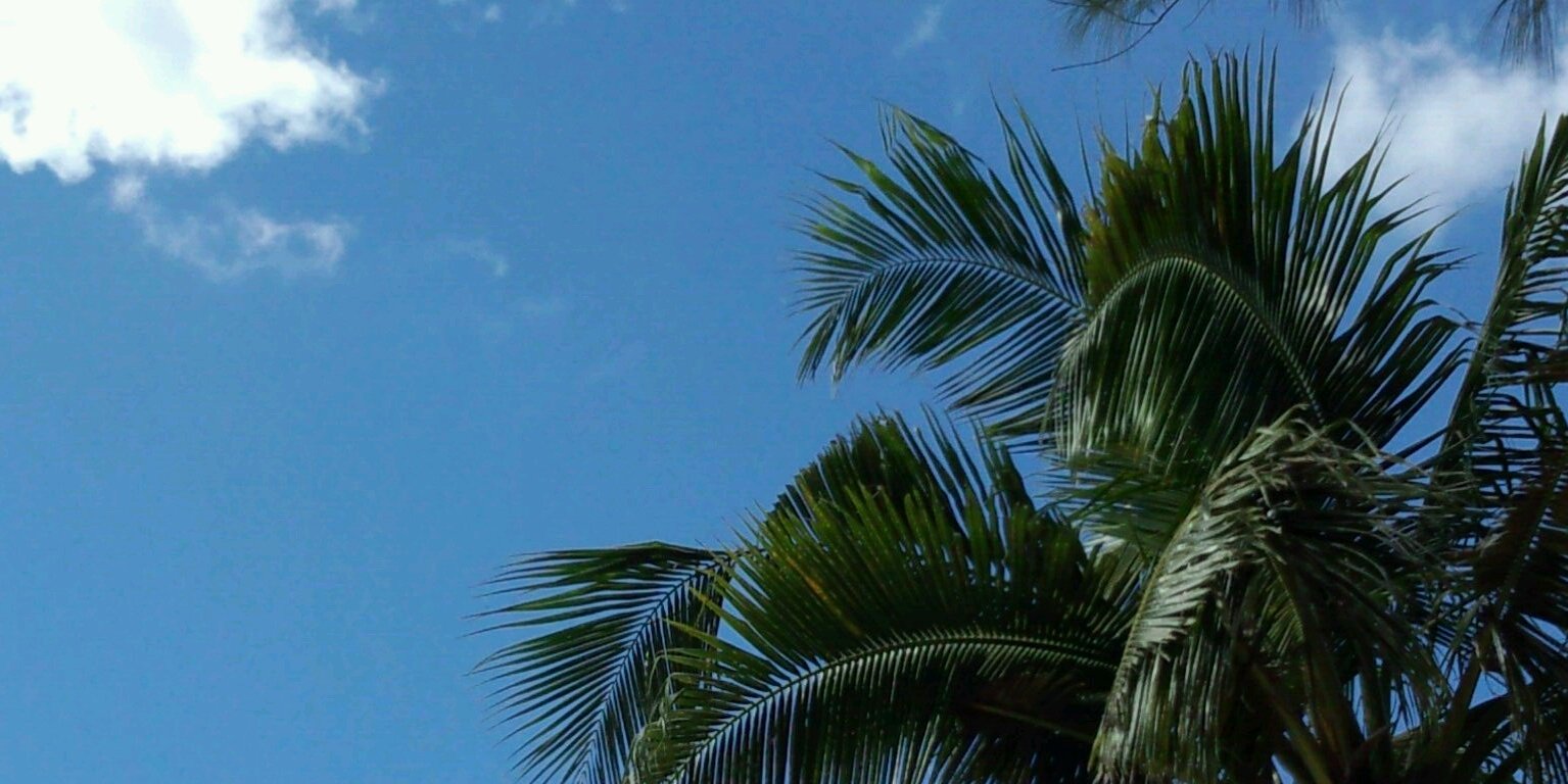 08_ei's profile banner image