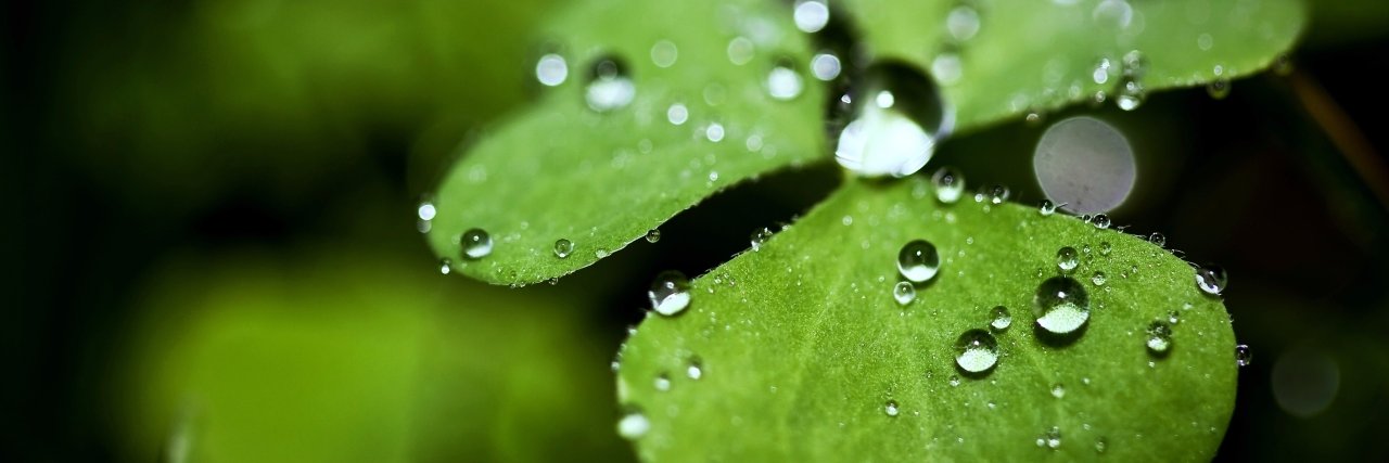 iffah_na's profile banner image