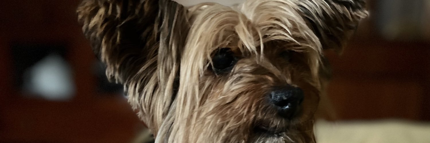 ADRI banner