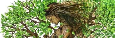 NaturopataBio's profile banner image