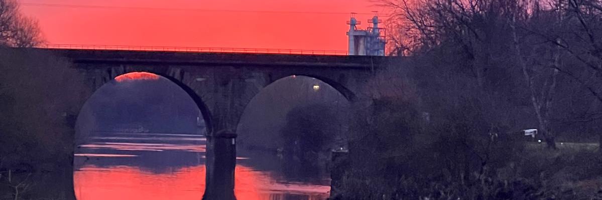 SUSAN SIMPSON #NevertrustToryorRedTory banner