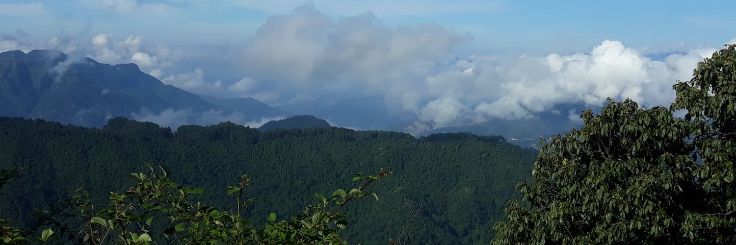 kominthami's profile banner image