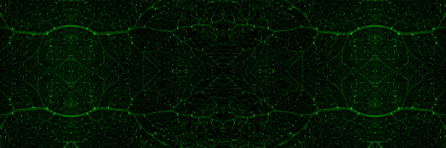 CL Lantz, PhD banner