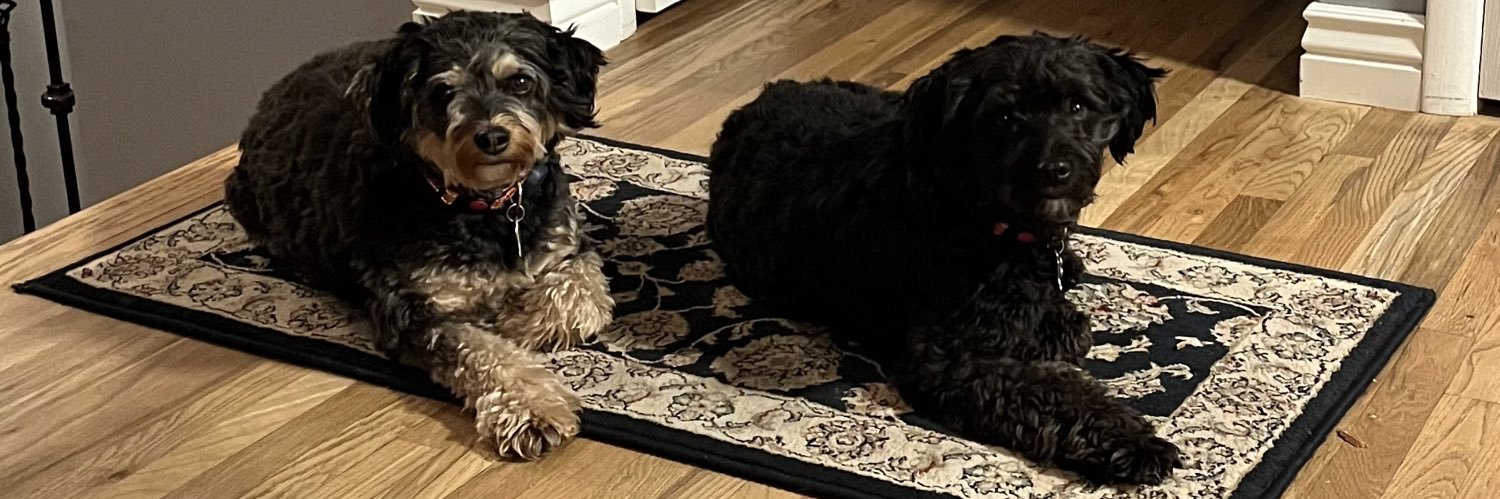 Carolyn DeHoff banner