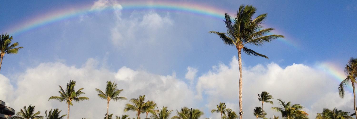 mickela23's profile banner image