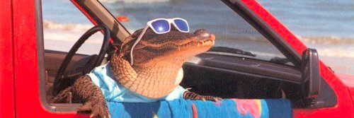 scaparker's profile banner image