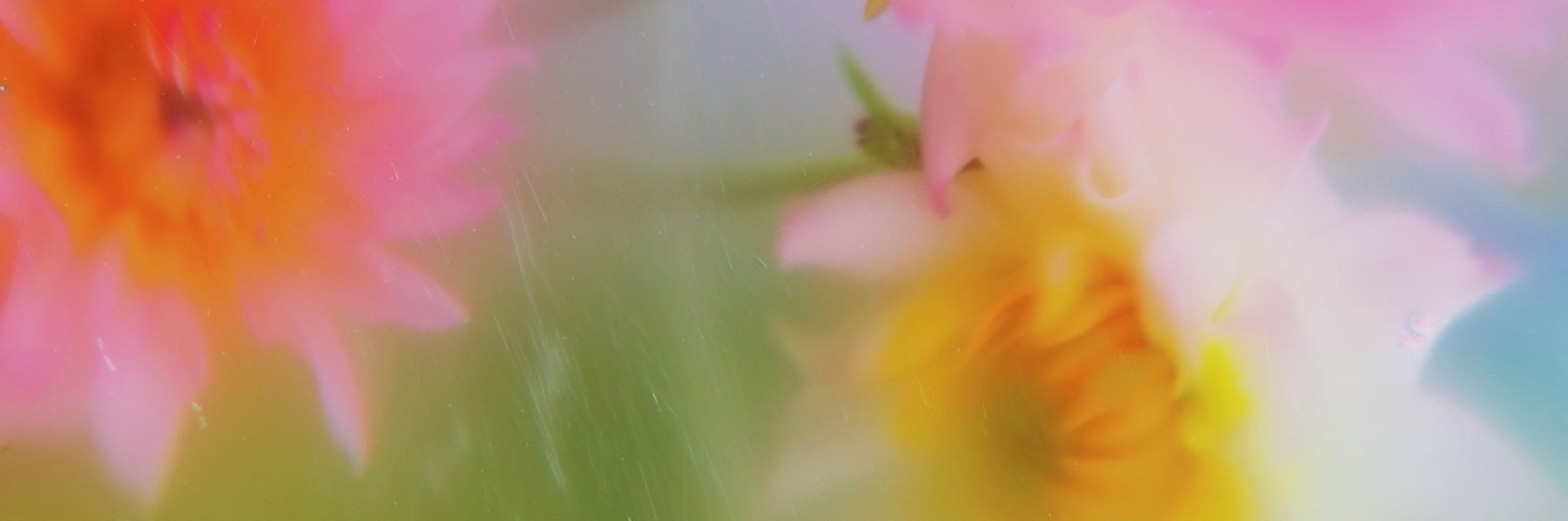 anotherdayrises's profile banner image