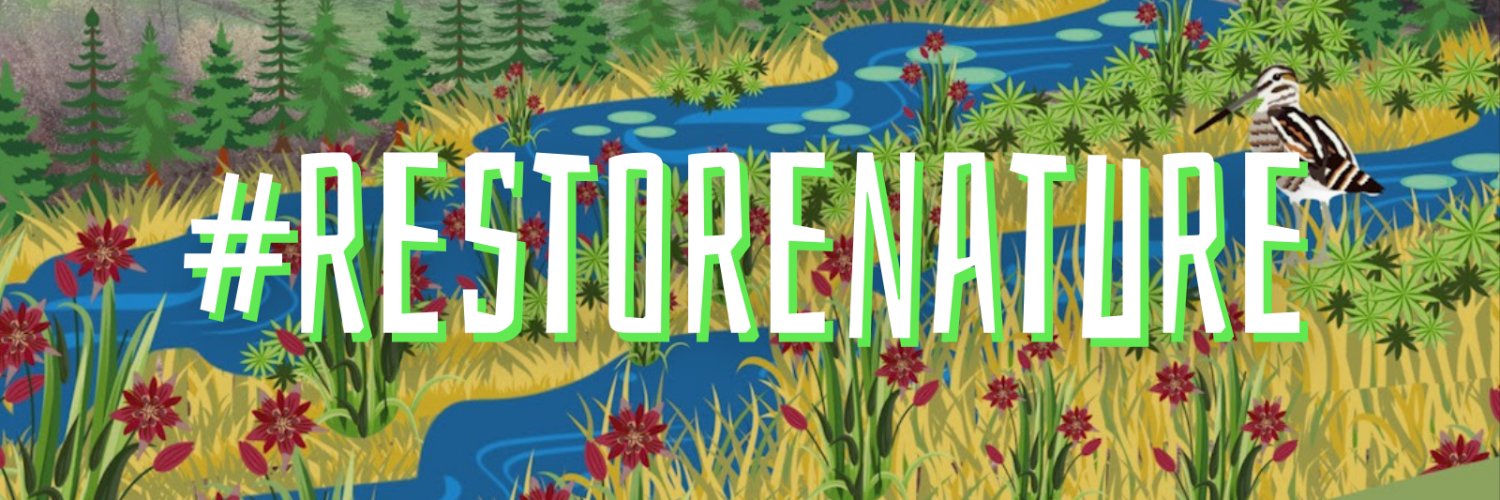 Angelika Pullen banner