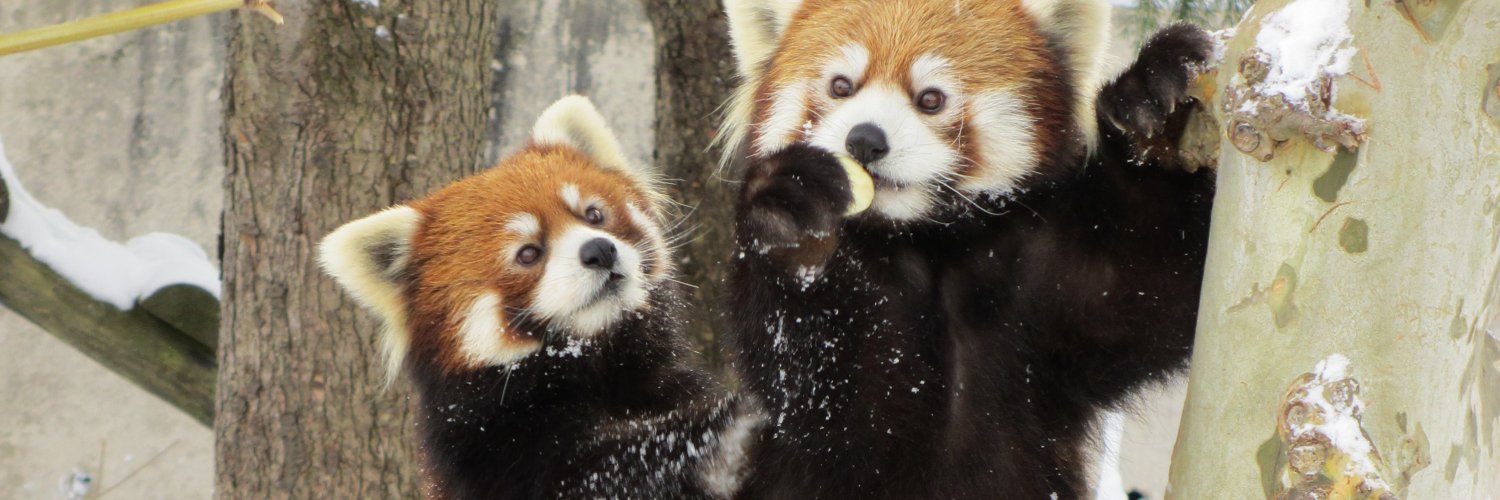 くぼけい＠2025年を表す漢字は「働」（個人の感想です） banner