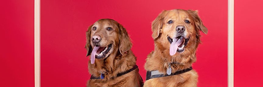 LauraNicoleW's profile banner image