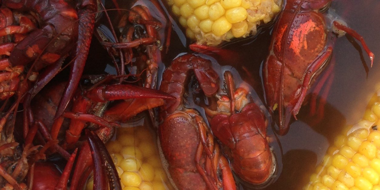 Crawfish Report banner