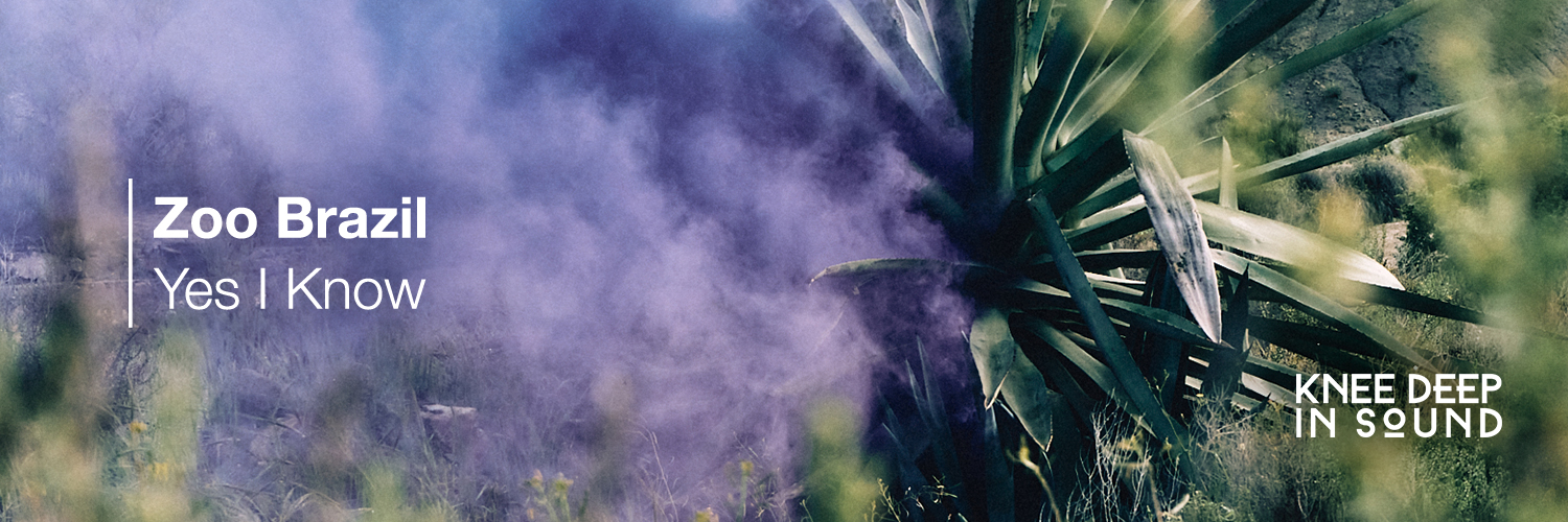 Knee Deep In Sound banner