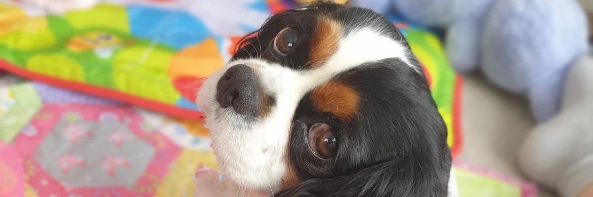 mattstani28's profile banner image