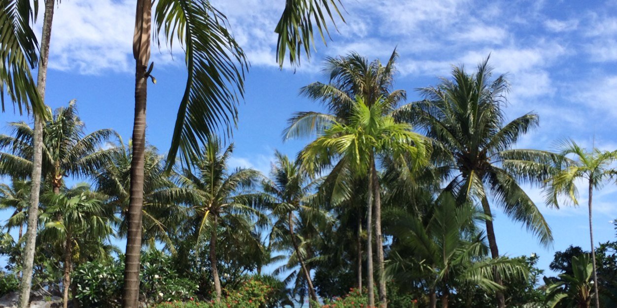 おむつ@広告運用者という名のインターネット土方 banner