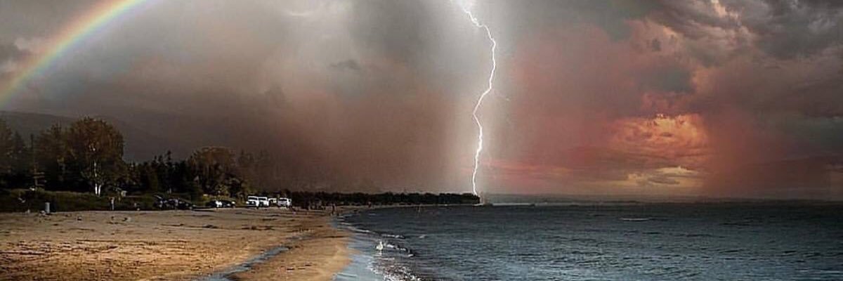 gunneygummies's profile banner image