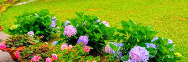umeshctyagi Profile Banner