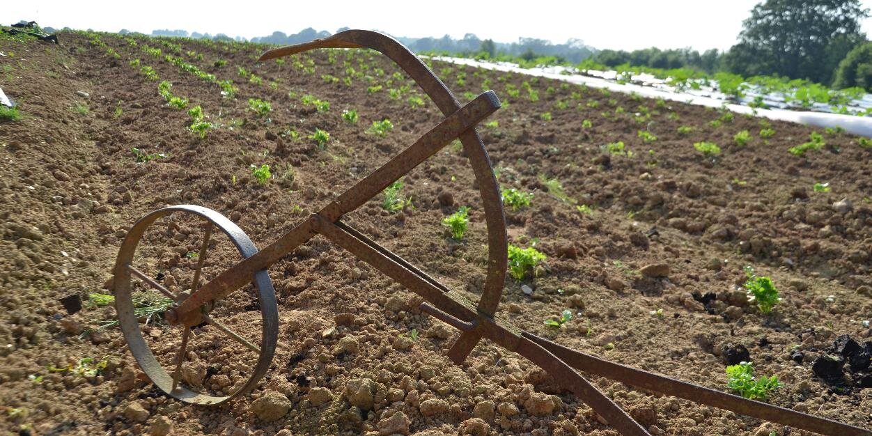 Hélène Binet banner