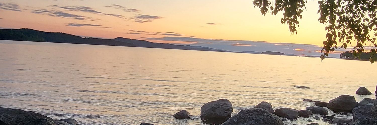 ginger_glitch's profile banner image